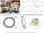 The VCU-RVI Benchmark: Evaluating Visual Inertial Odometry for Indoor Navigation Applications with an RGB-D Camera